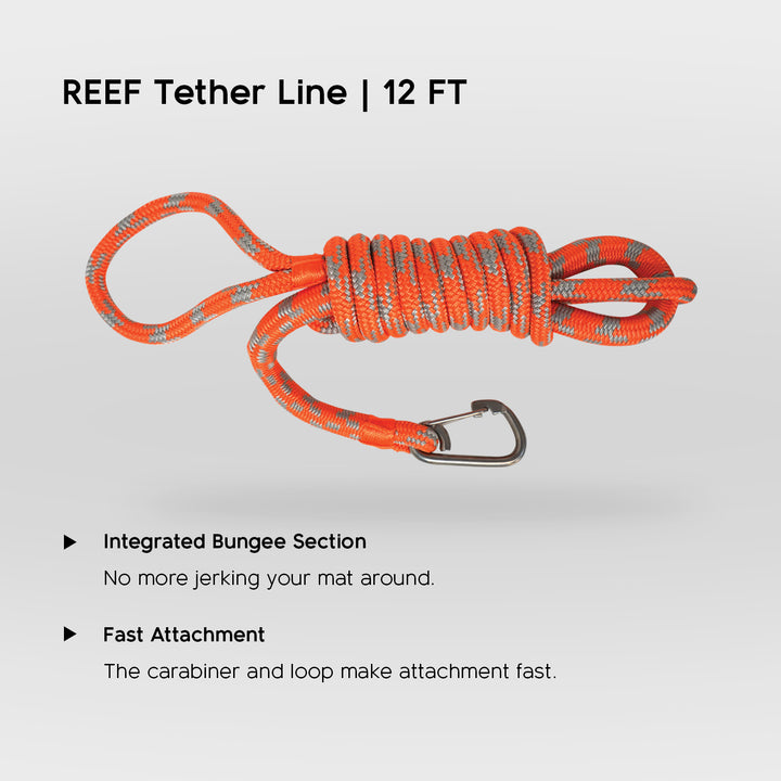 ESSENTIAL BUNDLE // REEF SPLASH